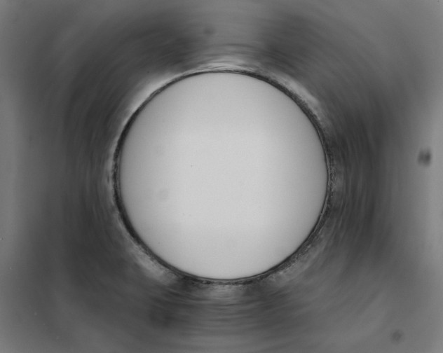 X0000101681423200808071058