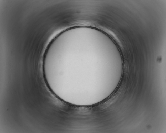 X0000101681424200808071058