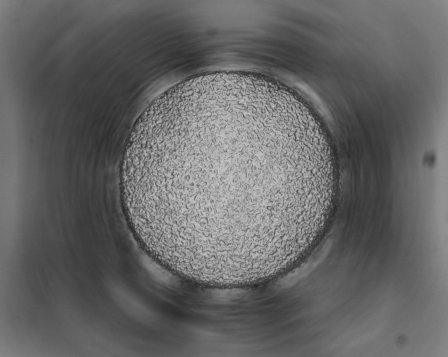 X0000101681425200808071058