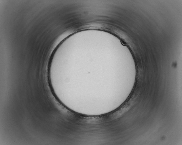 X0000101681426200808071058