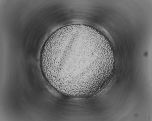 X0000101681427200808071058