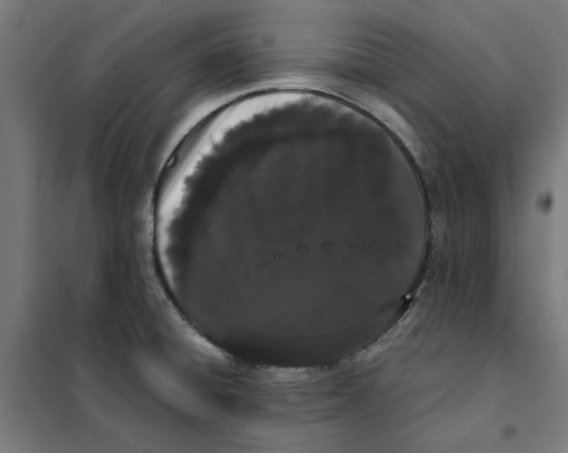 X0000101681428200808071058