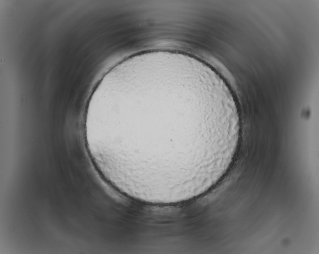 X0000101681429200808071058