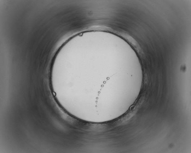 X0000101681430200808071058