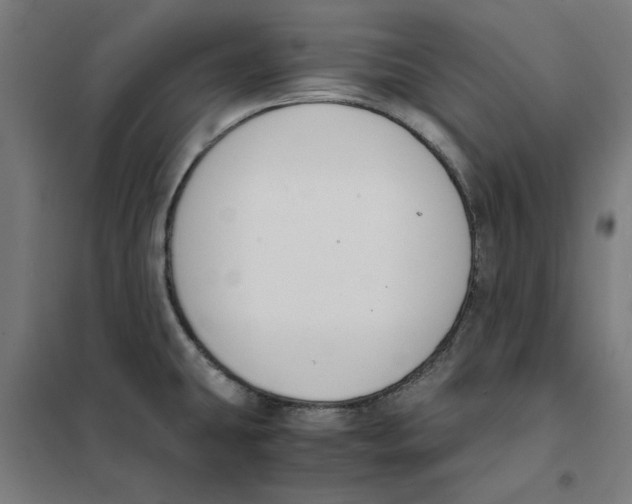 X0000101681431200808071058