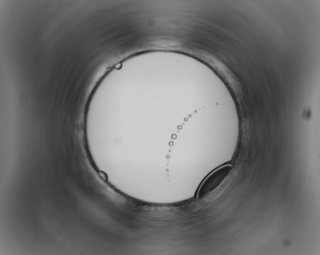 X0000101681432200808071058