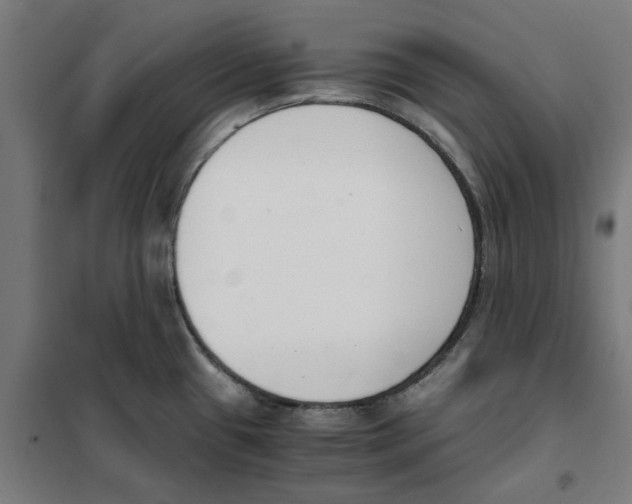 X0000101681433200808071058