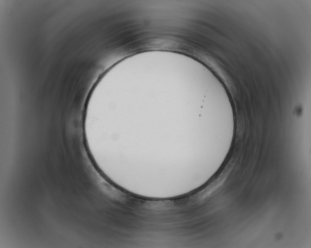 X0000101681434200808071058