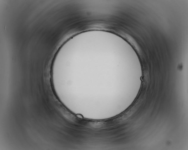 X0000101681435200808071058