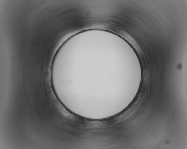 X0000101681436200808071058