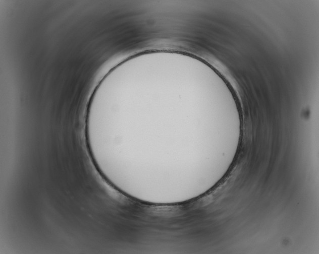 X0000101681437200808071058