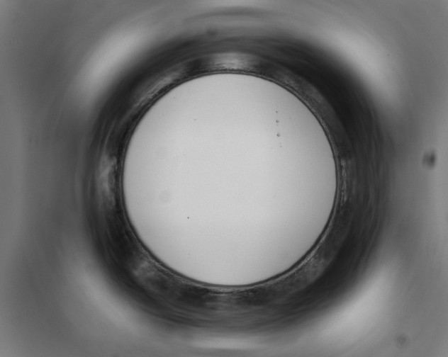 X0000101681438200808071058