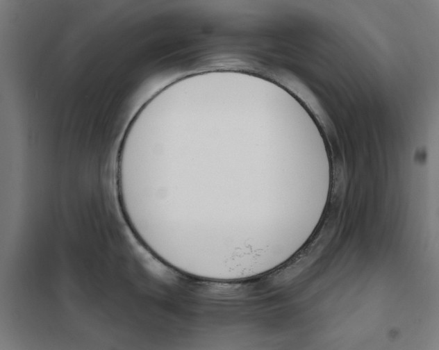 X0000101681439200808071058