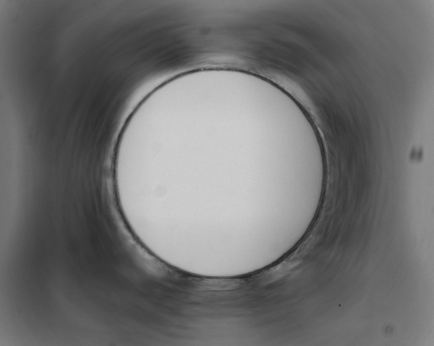 X0000101681440200808071058