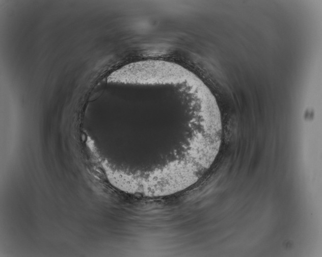 X0000101681441200808071058