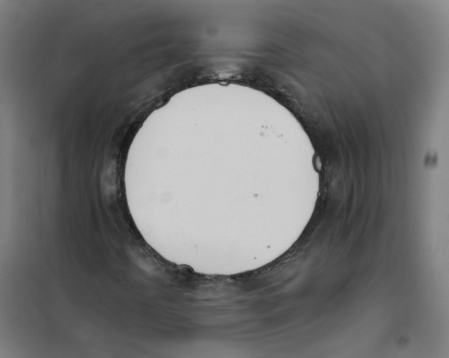 X0000101681442200808071058