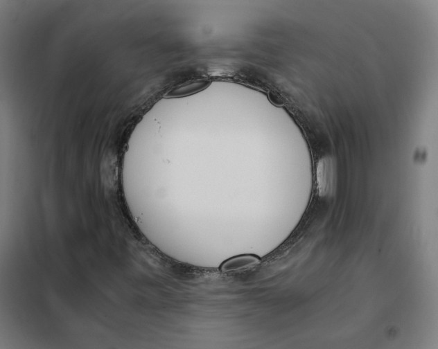 X0000101681443200808071058