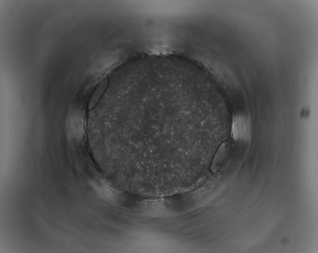 X0000101681444200808071057