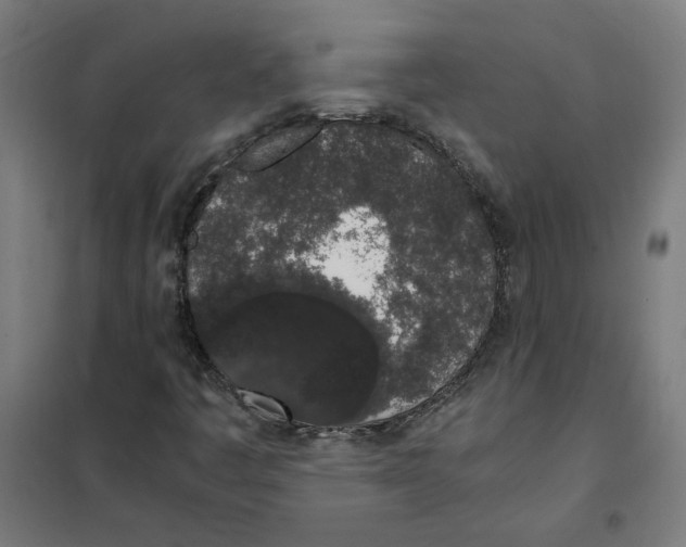 X0000101681445200808071057