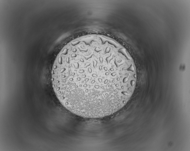 X0000101681446200808071057