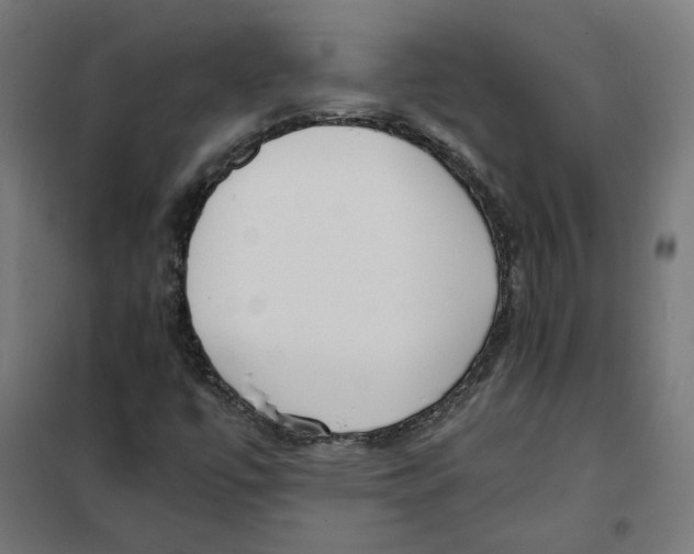 X0000101681447200808071057