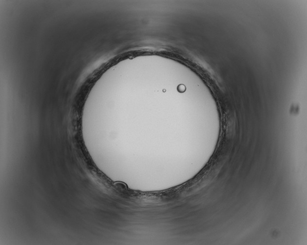 X0000101681448200808071057