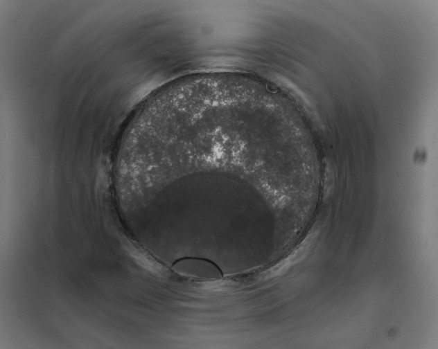 X0000101681449200808071057