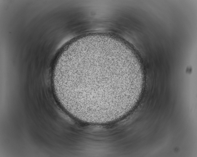 X0000101681450200808071057