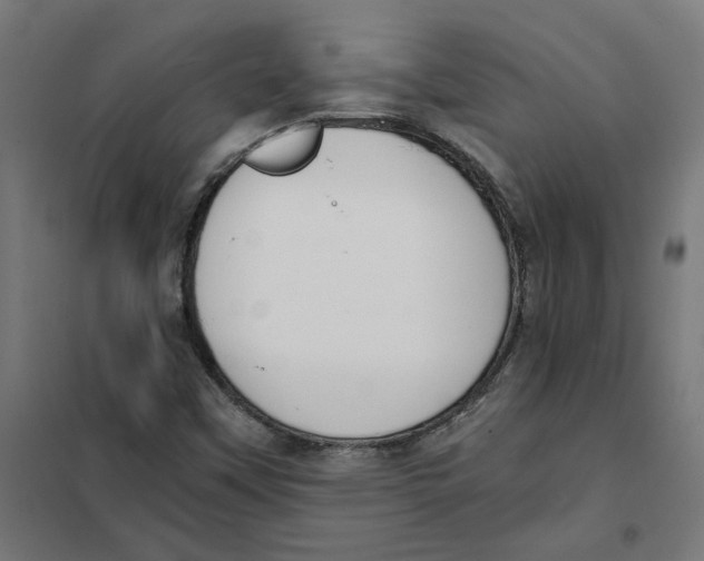 X0000101681451200808071057