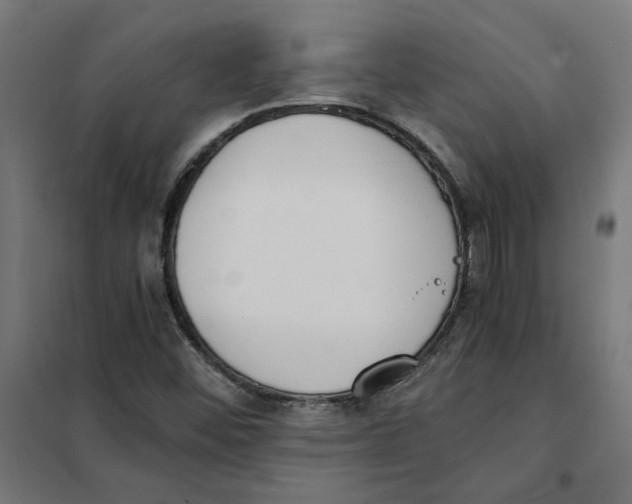 X0000101681452200808071057