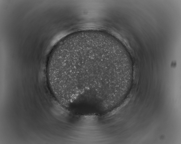 X0000101681453200808071057