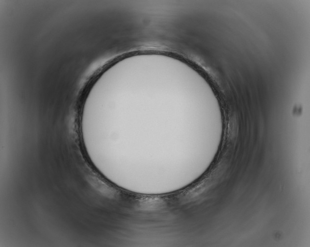 X0000101681454200808071057