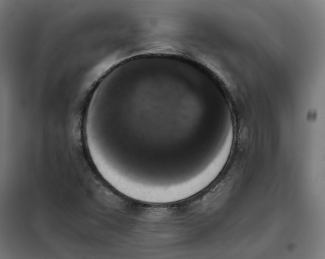 X0000101681455200808071057