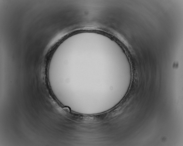 X0000101681456200808071057