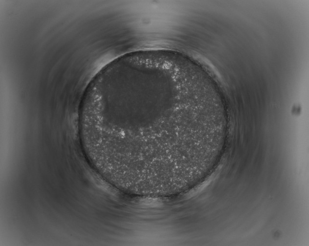 X0000101681457200808071057