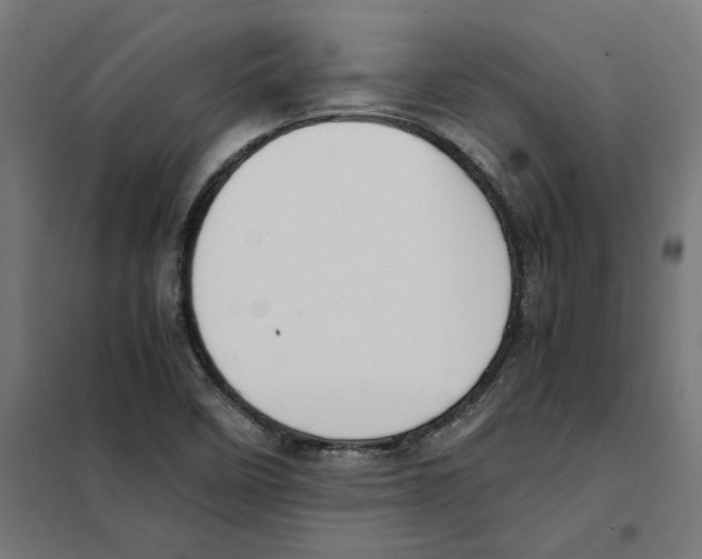 X0000101681458200808071057