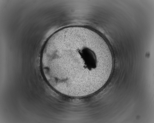 X0000101681459200808071057