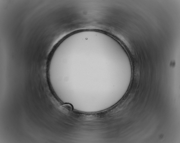 X0000101681460200808071057