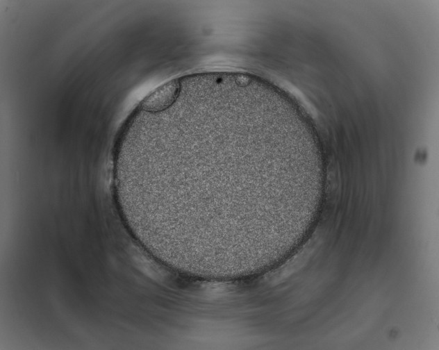 X0000101681461200808071057