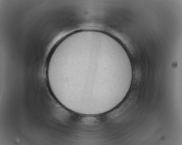 X0000101681462200808071057