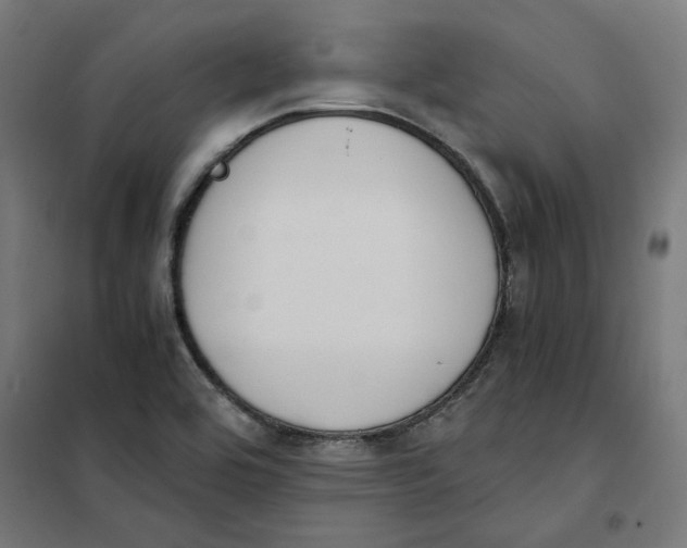 X0000101681464200808071057