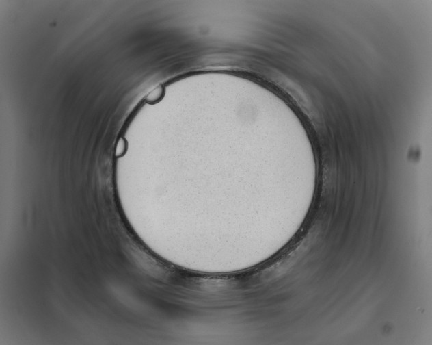 X0000101681465200808071057