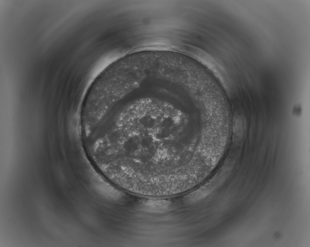 X0000101681466200808071057