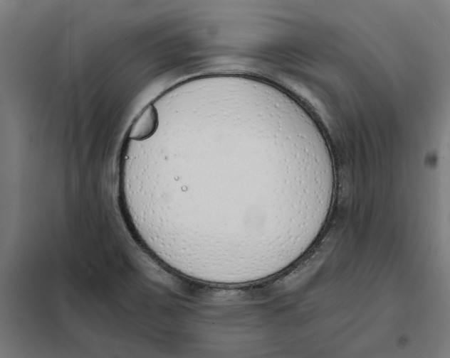 X0000101681467200808071057