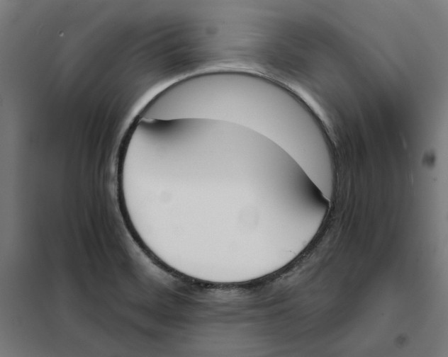 X0000101681468200808071057