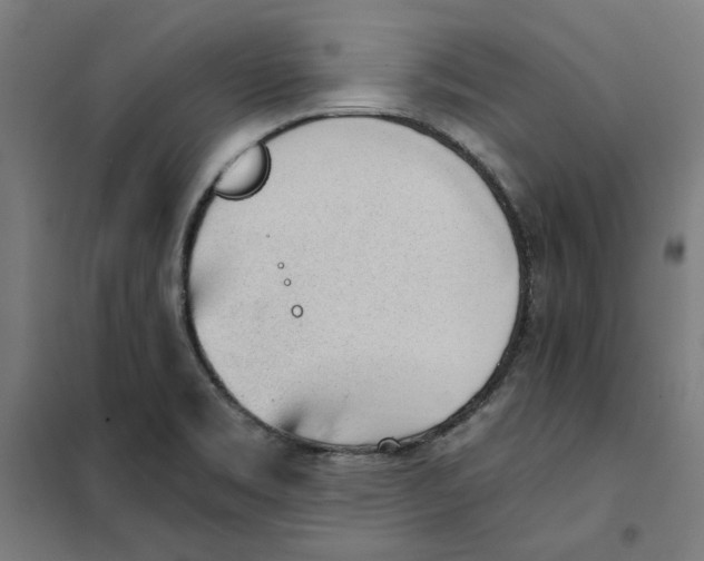 X0000101681469200808071057