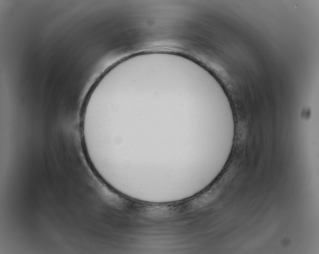 X0000101681470200808071057