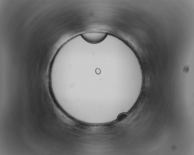 X0000101681471200808071057