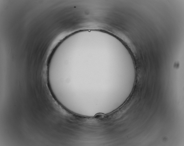 X0000101681472200808071057