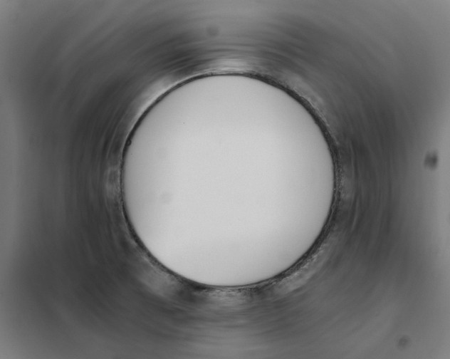 X0000101681473200808071057